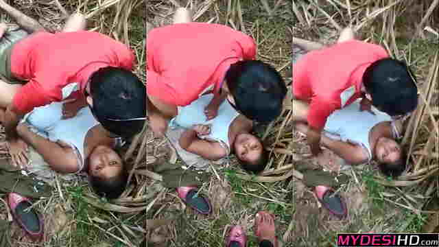 Hot Desi Village Girl Outdoor Sex in Sugarcane Field – Indian Amateur Voyeur
