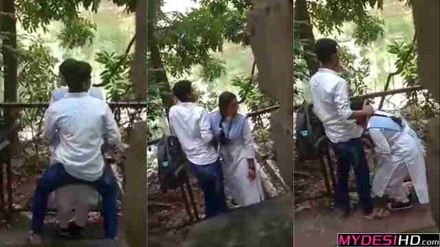Indian Desi Outdoor XXX MMS: College Girl’s Risky Public Hookup