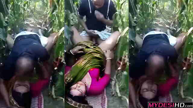Latest Desi Outdoor Viral MMS: Village Sarpanch’s Secret Affair with a Lonely Bhabhi